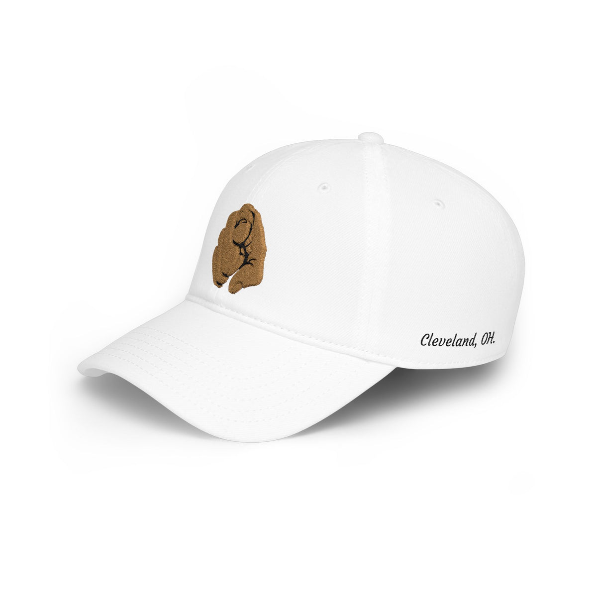 Embroidered Cap
