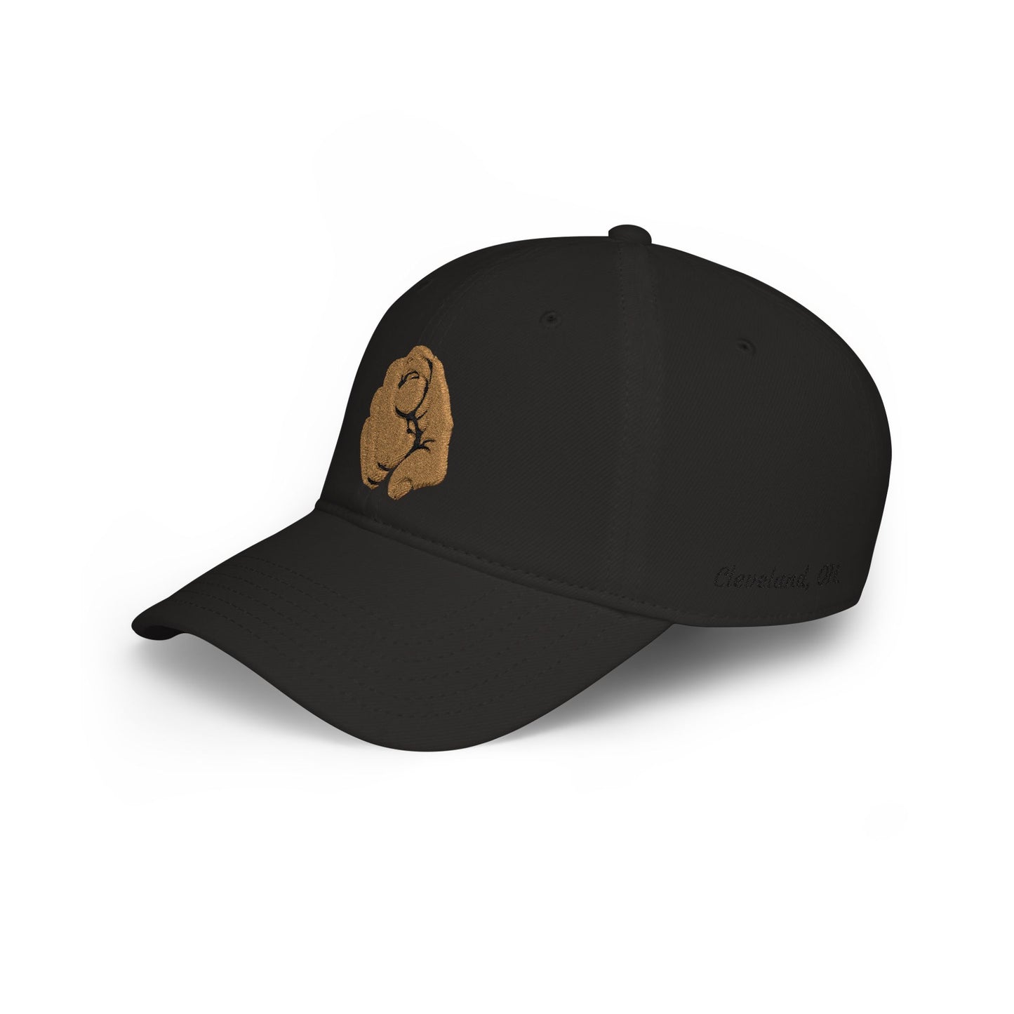Embroidered Cap