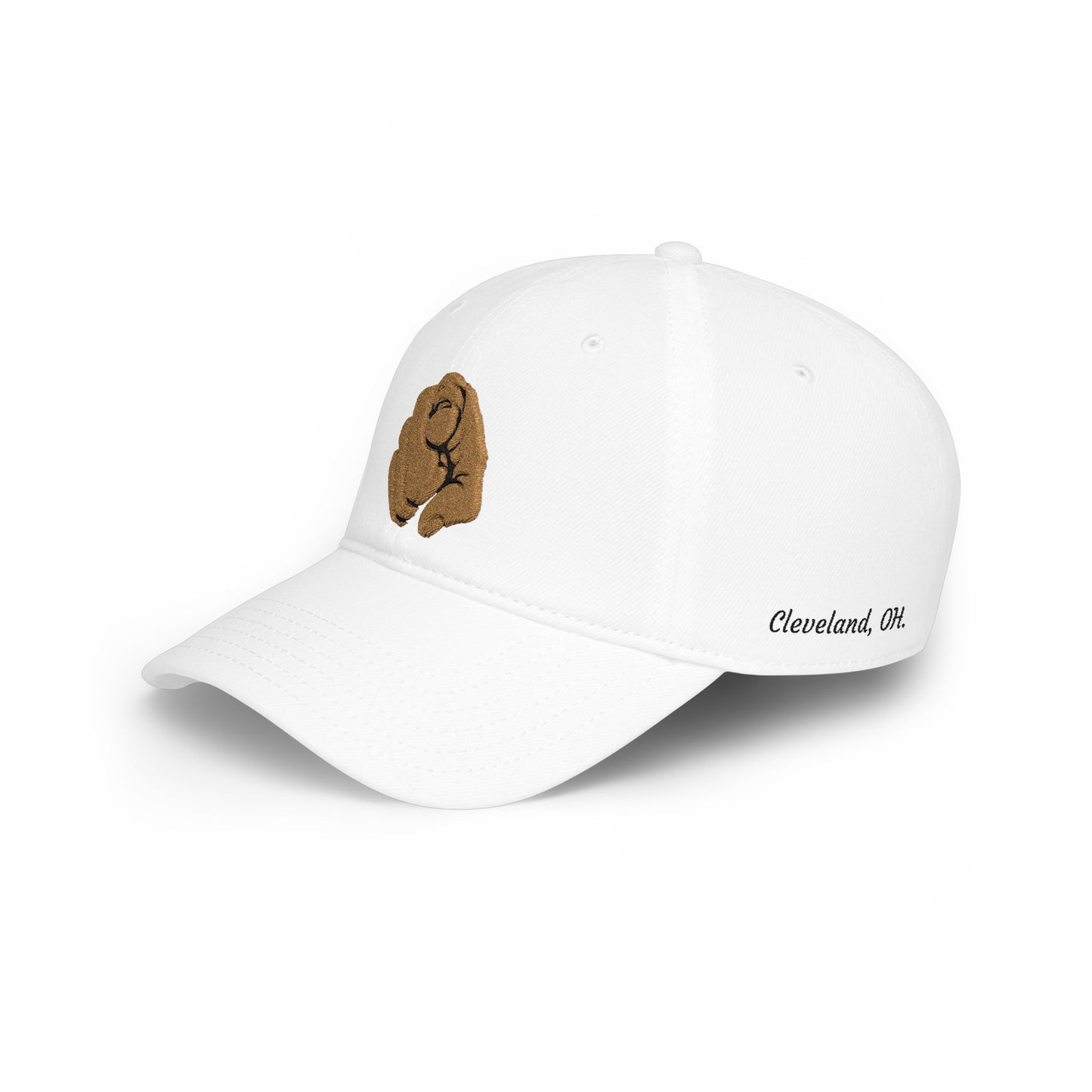 Embroidered Cap