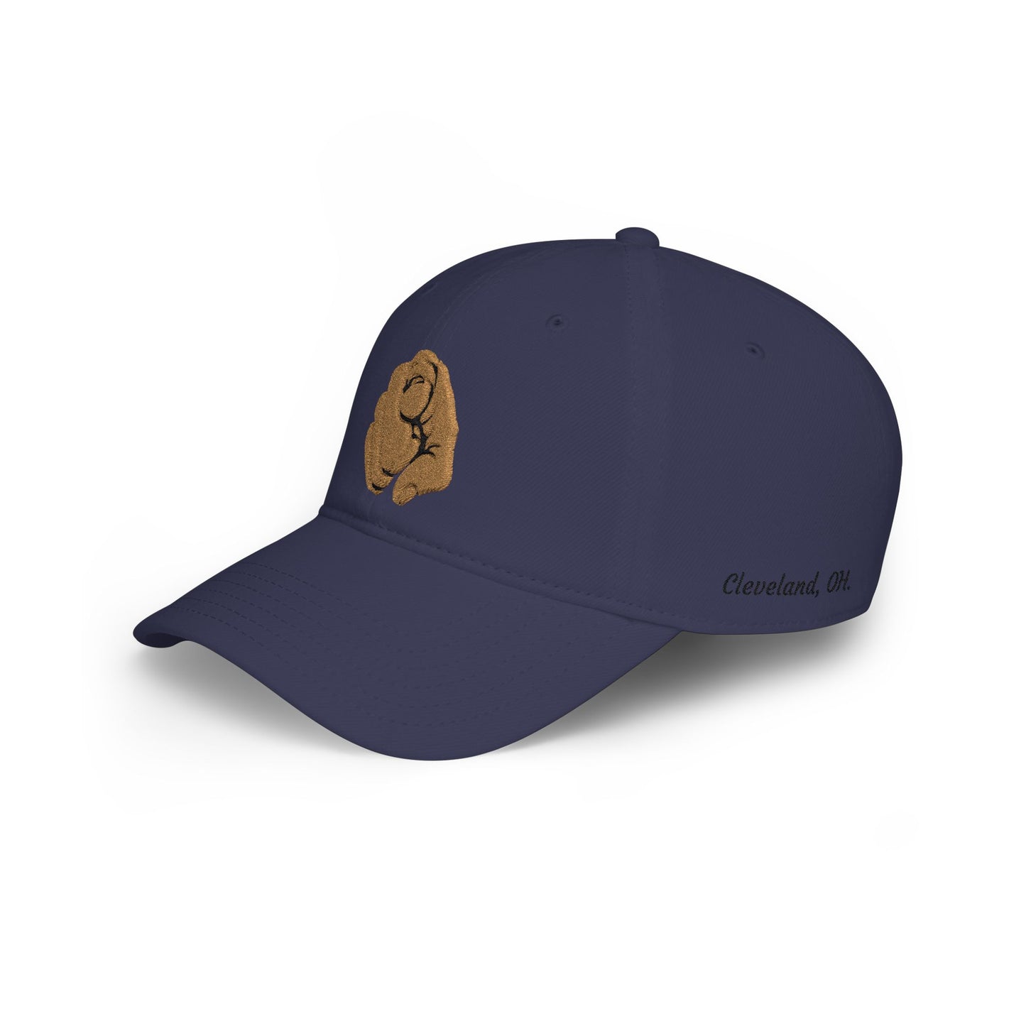 Embroidered Cap