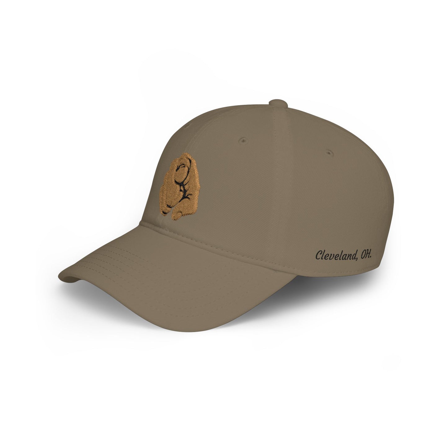 Embroidered Cap