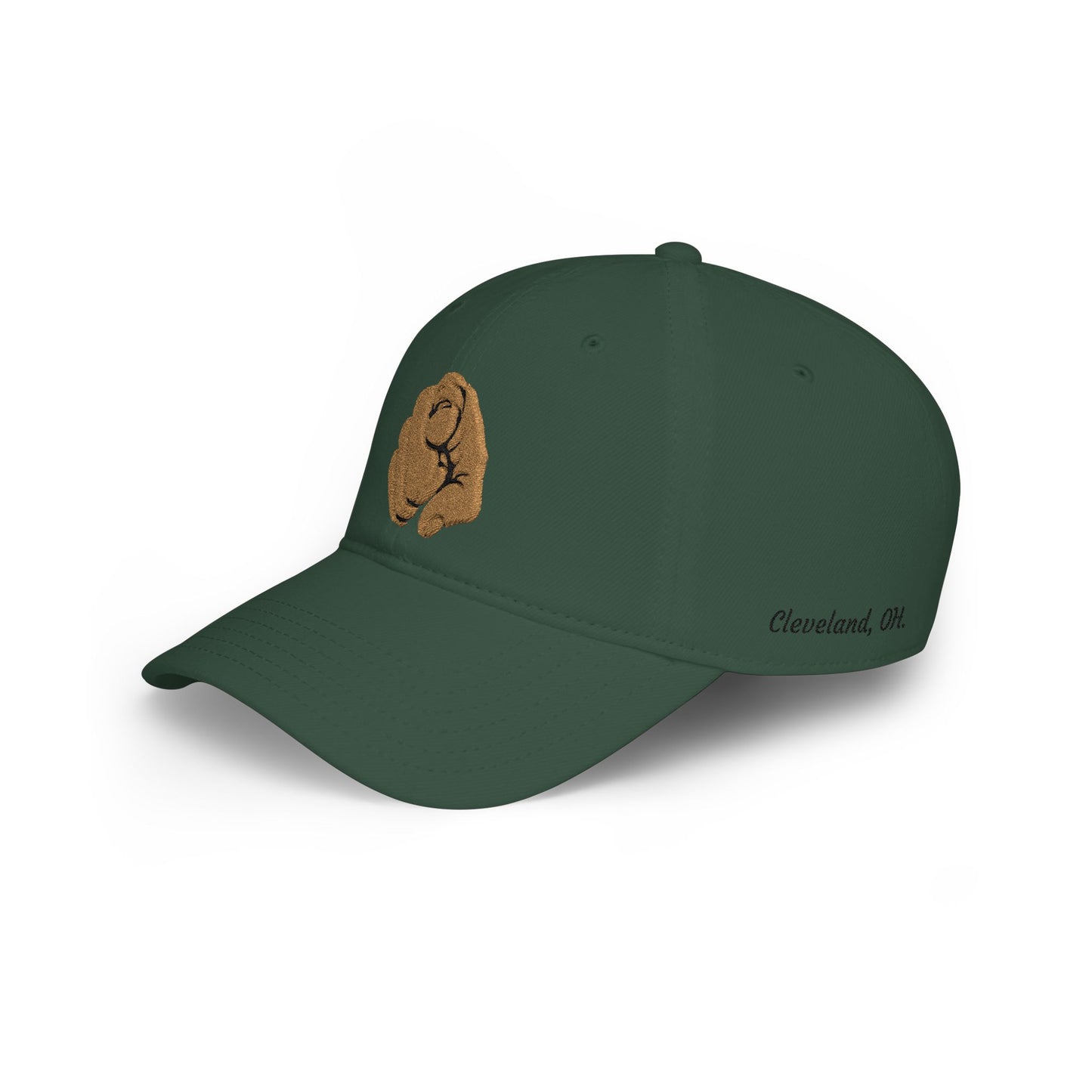 Embroidered Cap
