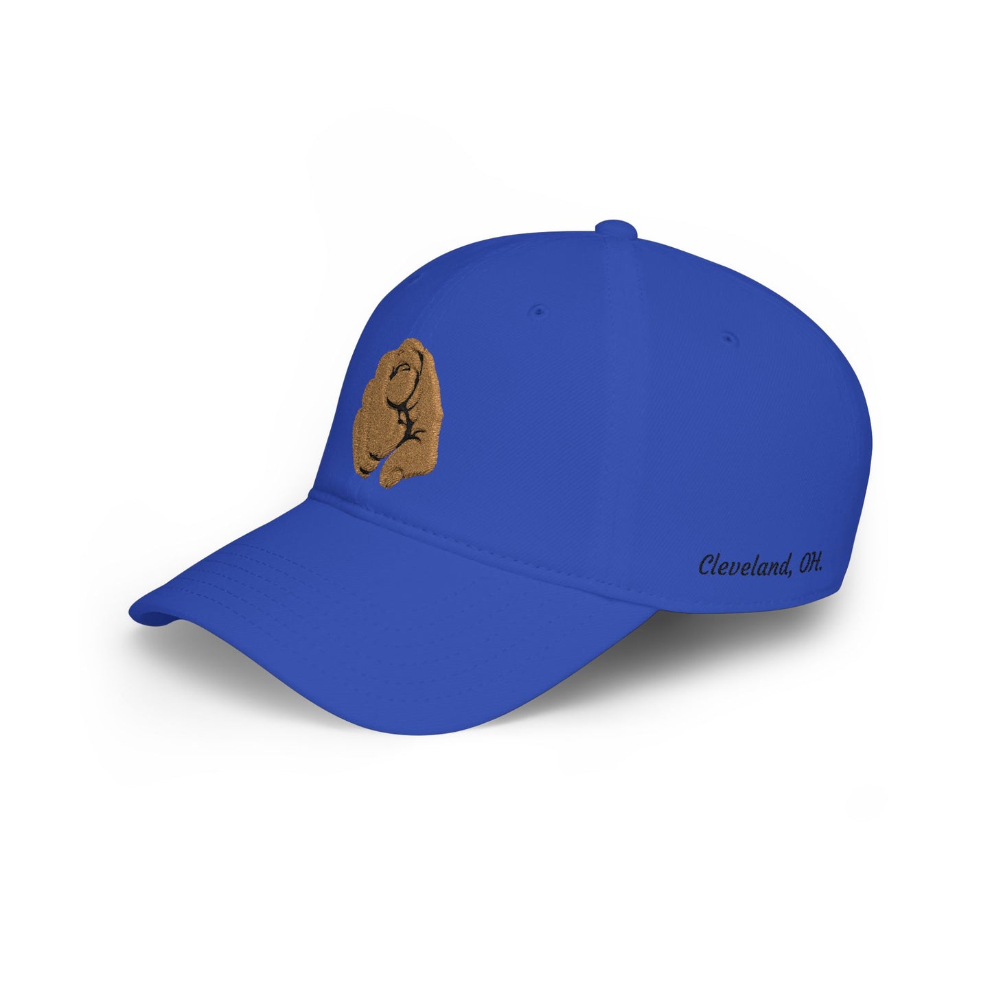 Embroidered Cap
