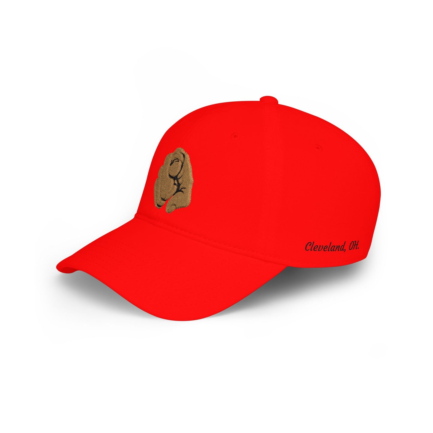 Embroidered Cap